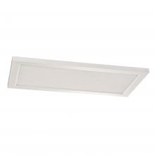  LGNL2412LAJD4WH - Lugano 24x12 Linear LED,120-277V,AJ CCT,White