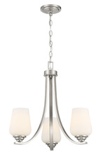  4923-84 - Shyloh - 3 Light Chandelier Fixture