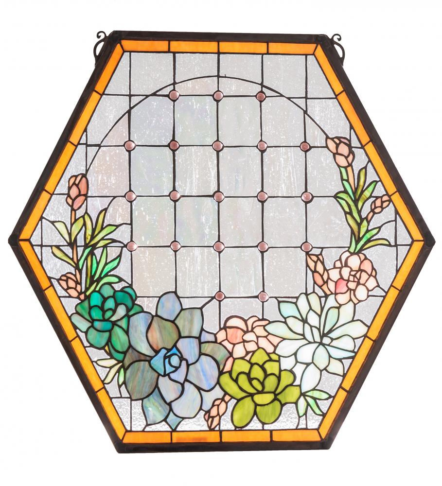 20" Wide X 20" High Succulent Window