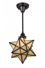  173524 - 12"W Moravian Star Pendant