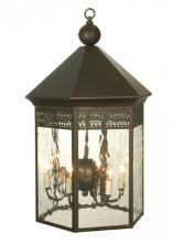  72041 - 24" Wide Thornhedge Pendant