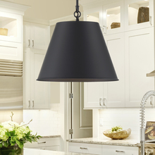  7-132-1-89 - Alden 1-Light Pendant in Matte Black