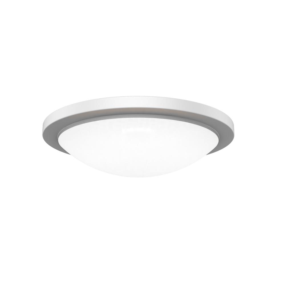 Dew 18" Flush Mount 5CCT