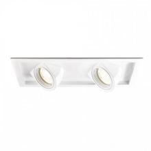  MT-5LD225T-F40-WT - Tesla LED Multiple Two Light Trim with Light Engine