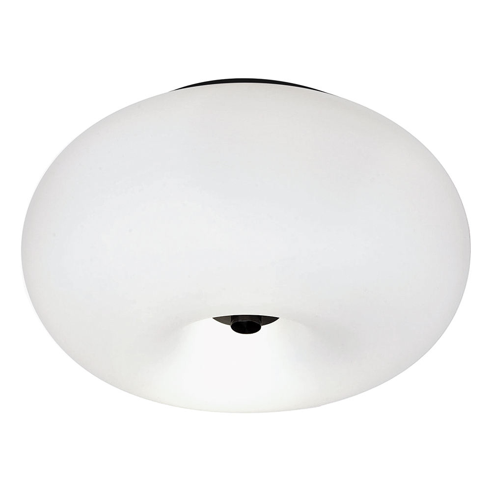2 LT Ceiling Light w/ Black Finish & Opal Glass Shade
