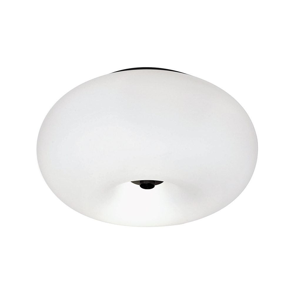 2 LT Ceiling Light w/ Black Finish & Opal Glass Shade