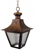  1471 - Avanti 1400 Series Ceiling Model 1471 Large Outdoor Wall Lantern