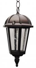  K2431 - Kiss Lighting K2400 Series Hanging Model K2431 Small Outdoor Wall Lantern