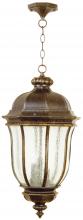  Z3321-PRO - Harper 3 Light Outdoor Pendant in Peruvian Bronze Outdoor