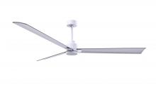  AK-MWH-BN-72 - Alessandra 3-blade transitional ceiling fan in matte white finish with brushed nickel blades. Opti