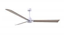  AK-MWH-GA-72 - Alessandra 3-blade transitional ceiling fan in matte white finish with gray ash blades. Optimized