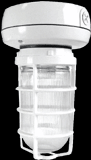  VX1F13 - Vaporproof, 900 lumens, CFL, ceiling mount, 13W, QT, 1/2 inch, with Glass globe, cast guard