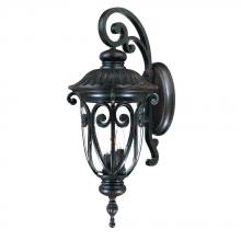  2122MM - Naples Collection Wall-Mount 3-Light Outdoor Marbleized Mahogany Light Fixture