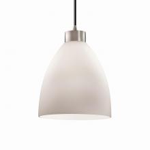  FSN-8814-18-OPAL-NCKL-BKCD - Large 1-Light Pendant