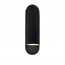  CER-5630W-CRB - Large ADA Capsule Outdoor Wall Sconce