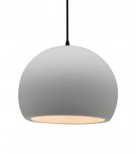  CER-6535-BIS-MBLK-BKCD - Large Globe 1-Light Pendant