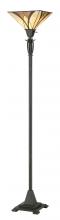  TFAS9470VA - Asheville Floor Lamp