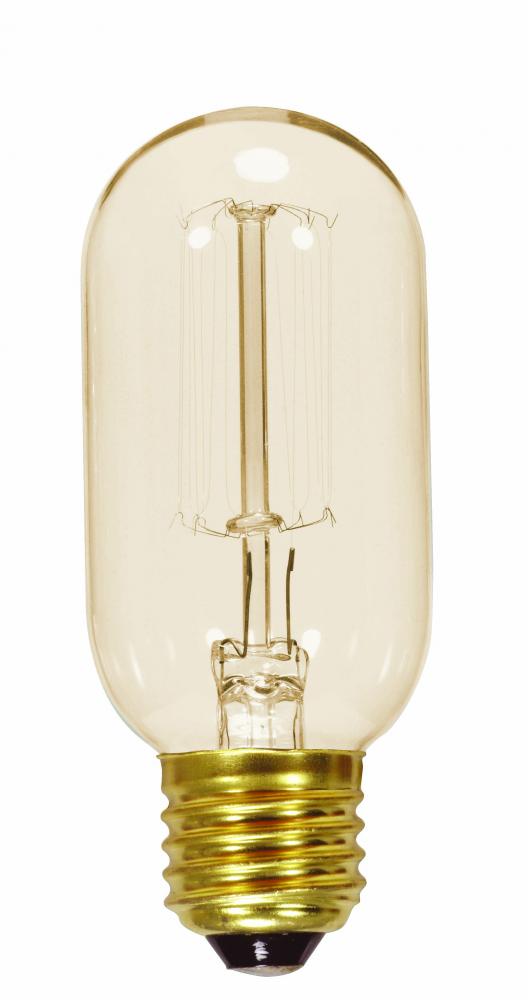 40 Watt T14 Incandescent; Clear; 3000 Average rated hours; 160 Lumens; Medium base; 120 Volt