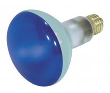 Satco Products Inc. S3228 - 75 Watt BR30 Incandescent; Blue; 2000 Average rated hours; Medium base; 130 Volt