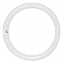 Satco Products Inc. S6504 - 32 Watt; T9; Circline Fluorescent; 6500K Daylight; 76 CRI; 4-Pin base