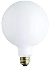  310700 - 60W G40 Incandescent White E26 (Medium) Base, 120 Volt, Box