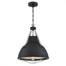  6116300 - Pendant Matte Black Finish with Dark Pewter Accents Cage Shade