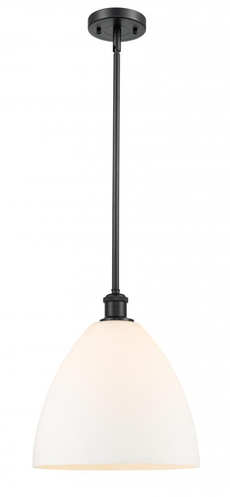 Bristol - 1 Light - 12 inch - Matte Black - Mini Pendant