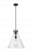  410-1PL-BK-G411-16CL - Newton Cone - 1 Light - 16 inch - Matte Black - Cord hung - Pendant