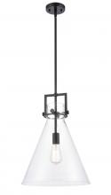  411-1SL-BK-G411-14CL - Newton Cone - 1 Light - 14 inch - Matte Black - Pendant