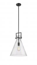  411-1SL-BK-G411-14SDY - Newton Cone - 1 Light - 14 inch - Matte Black - Cord hung - Pendant