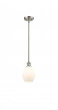  516-1S-SN-G651-6 - Cindyrella - 1 Light - 6 inch - Brushed Satin Nickel - Mini Pendant