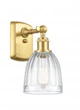  516-1W-SG-G442 - Brookfield - 1 Light - 6 inch - Satin Gold - Sconce