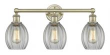  616-3W-AB-G82 - Eaton - 3 Light - 24 inch - Antique Brass - Bath Vanity Light