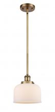  916-1S-BB-G71 - Bell - 1 Light - 8 inch - Brushed Brass - Mini Pendant