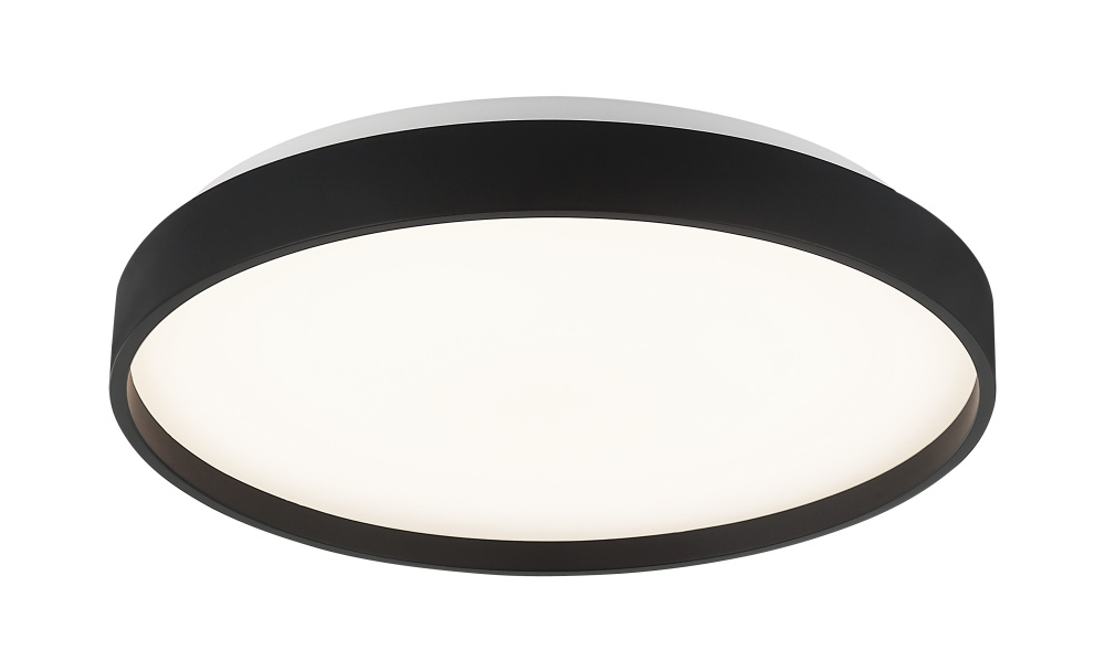 Alexandre Black Ceiling Mount