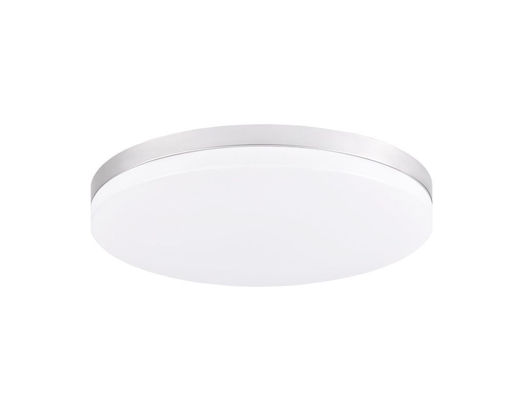 Xelan Painted Silver Ceiling Mount