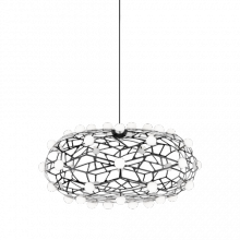  C76324BK - Coral Chandelier