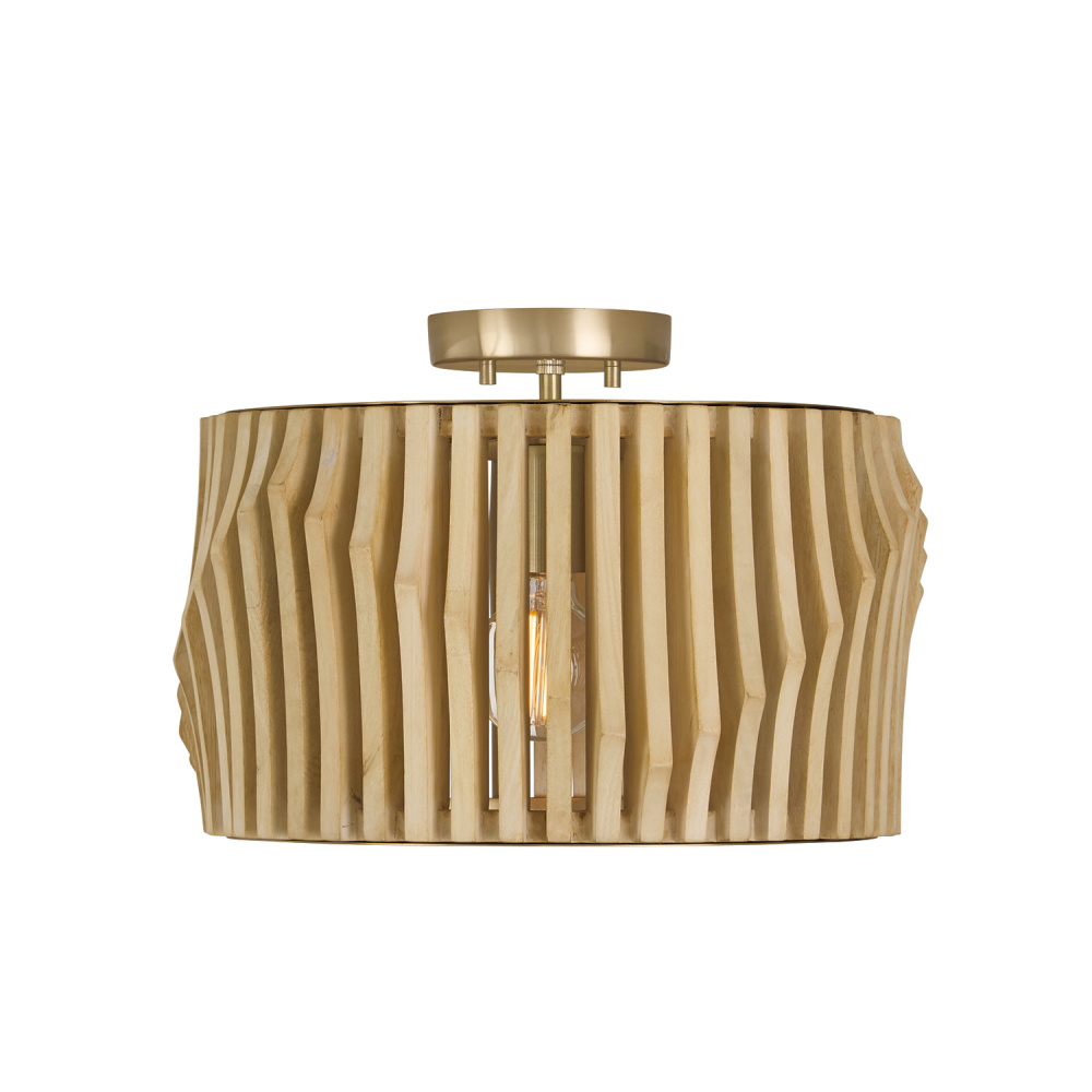 1 Light Semi-Flush