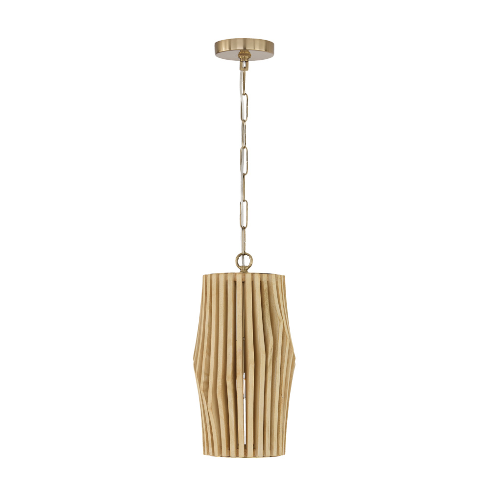 1 Light Pendant
