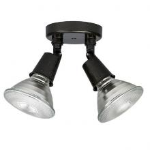  9502RZ - 2 Light Outdoor FloodLight