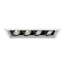  TE164A-02 - MuLT, Par20, Trm, 4LT , 50w, Wh/blk