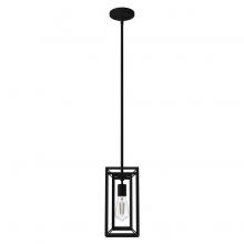  19755 - Hunter Doherty Natural Black Iron 1 Light Pendant Ceiling Light Fixture