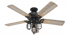 Hunter 50409 - Hunter 52 inch Starklake Natural Black Iron Damp Rated Ceiling Fan with LED LT Kit and Pull Chain