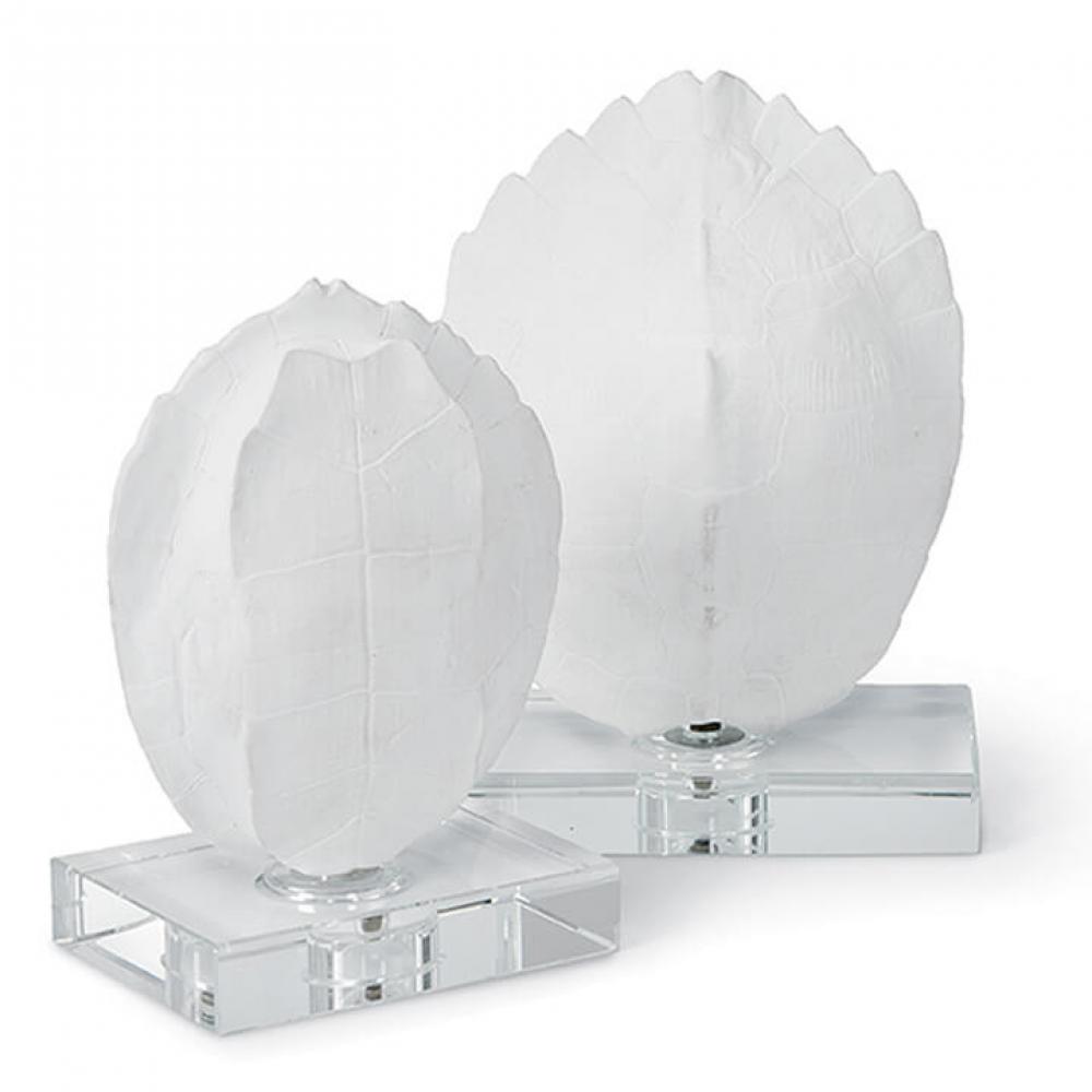 Regina Andrew Turtle Shells On Crystal (Set of 2