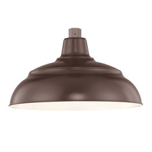  RWHS14-ABR - R Series 1-Light Warehouse Shade Architect Bronze