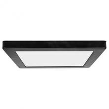  20840LEDD-BL/ACR - Dual Voltage LED Flush Mount