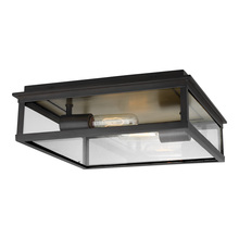  CO1182HTCP - Freeport Large Outdoor Flush Mount