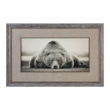  33661 - Deep Sleep Bear Print