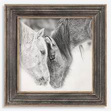  51110 - Custom Black And White Horses Print