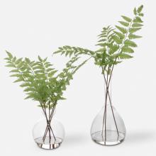  60202 - Country Ferns, S/2